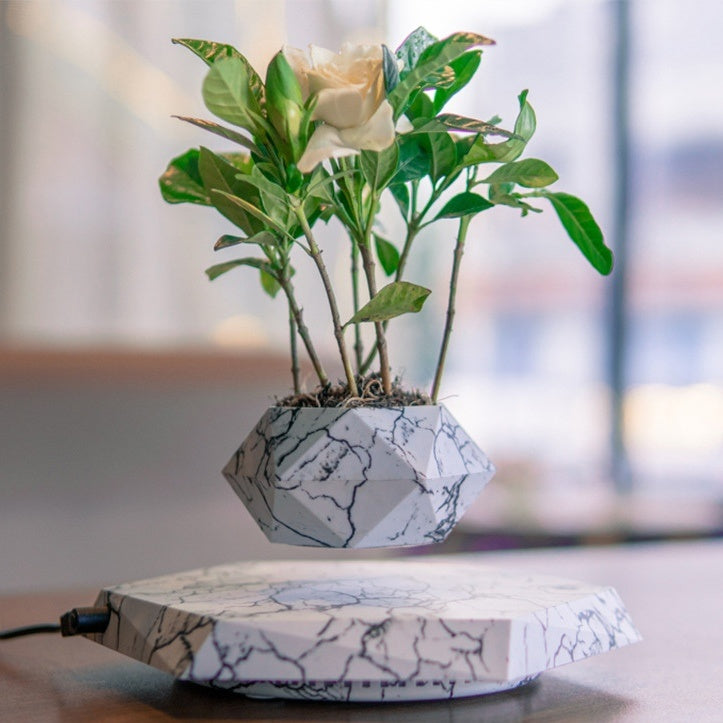 Magnetic Levitation Bonsai Planter for Home & Office