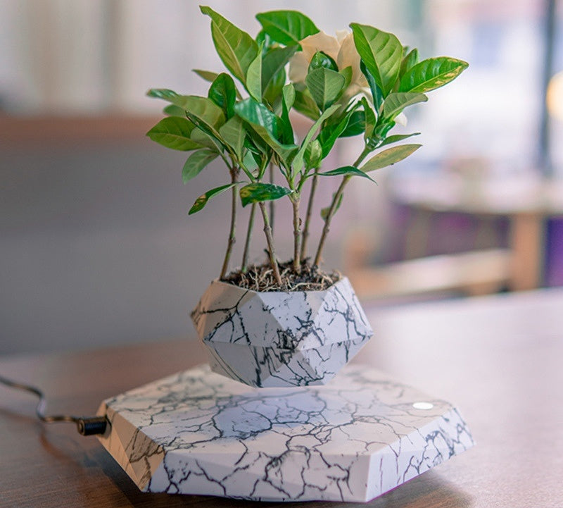 Magnetic Levitation Bonsai Planter for Home & Office