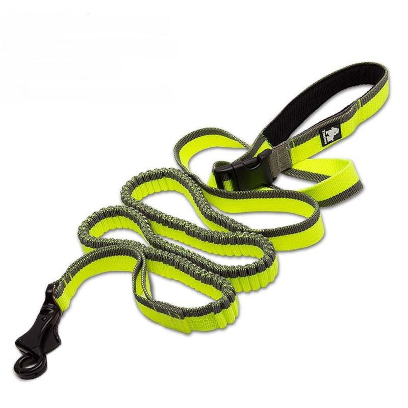 Nylon Elastic Retractable Dog Leads