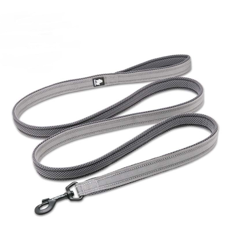 Nylon Dog Leash for Training