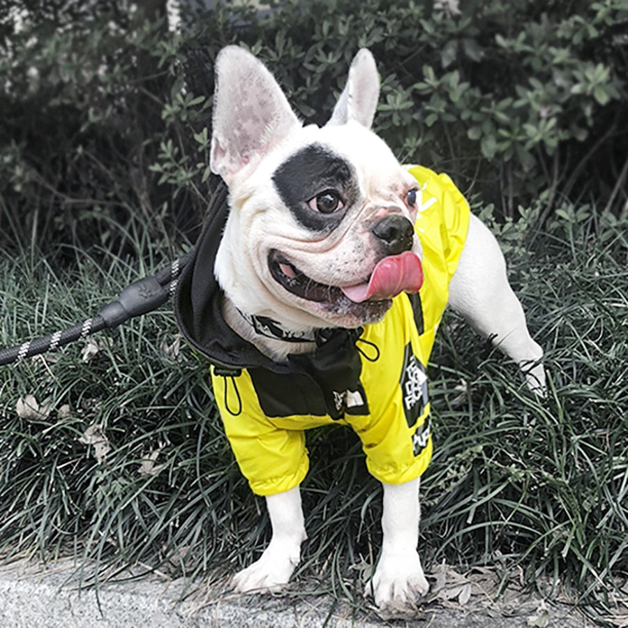 Waterproof Coat for Pet Dog