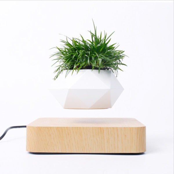 Levitating Air Bonsai Rotation Flower Pot