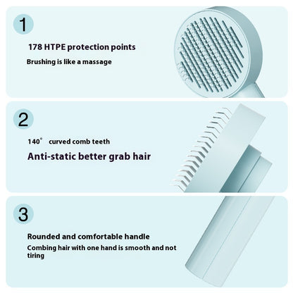 Hairbrush with features highlighted on a light blue background