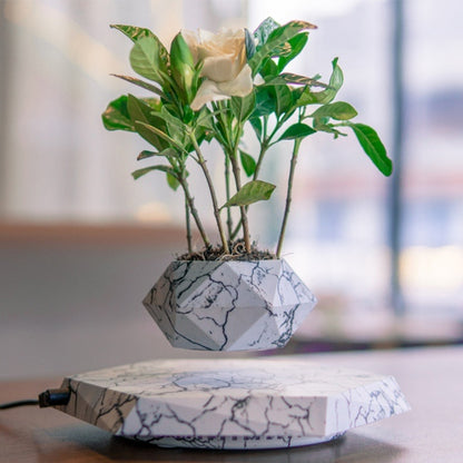 Magnetic Levitation Bonsai Planter for Home & Office