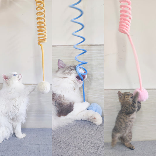 Three cats interacting with colorful spiral cat toys against a neutral background.