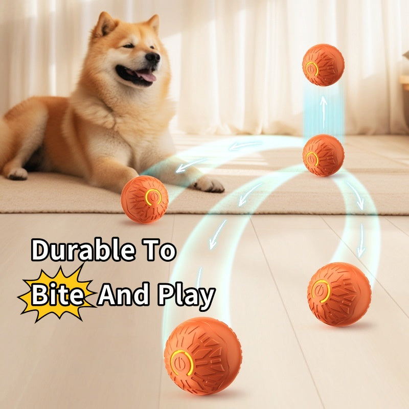 Dog playing with a set of orange balls on a light-colored floor.