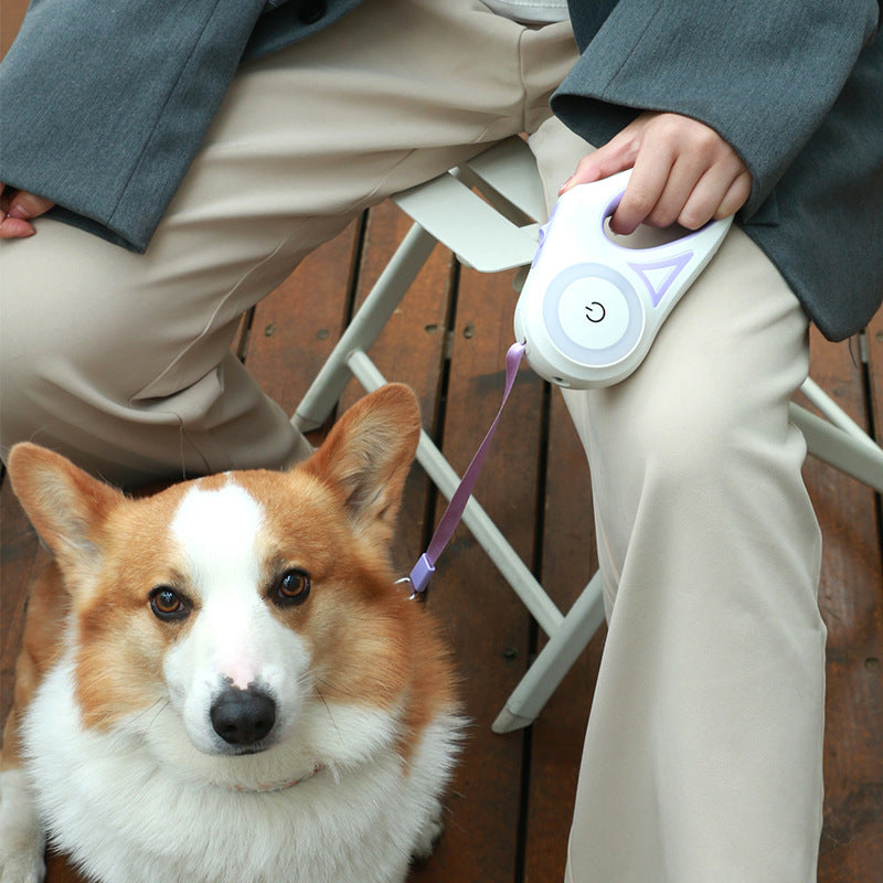 Person holding a dog training device next to a corgi on a wooden floor.