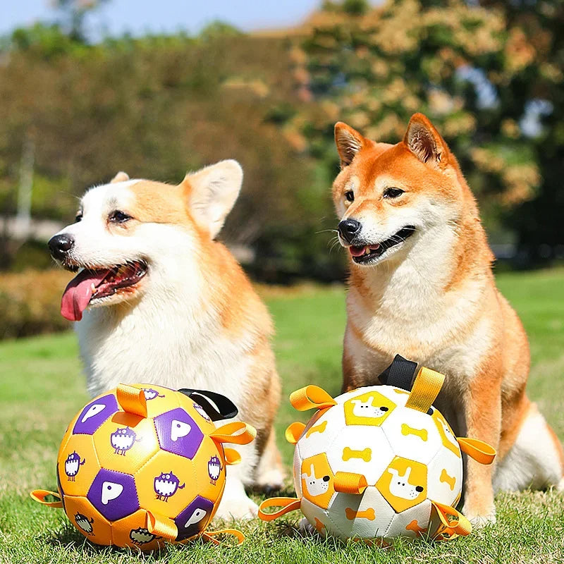 Two dogs sitting on grass with two colorful dog toys in front of them.