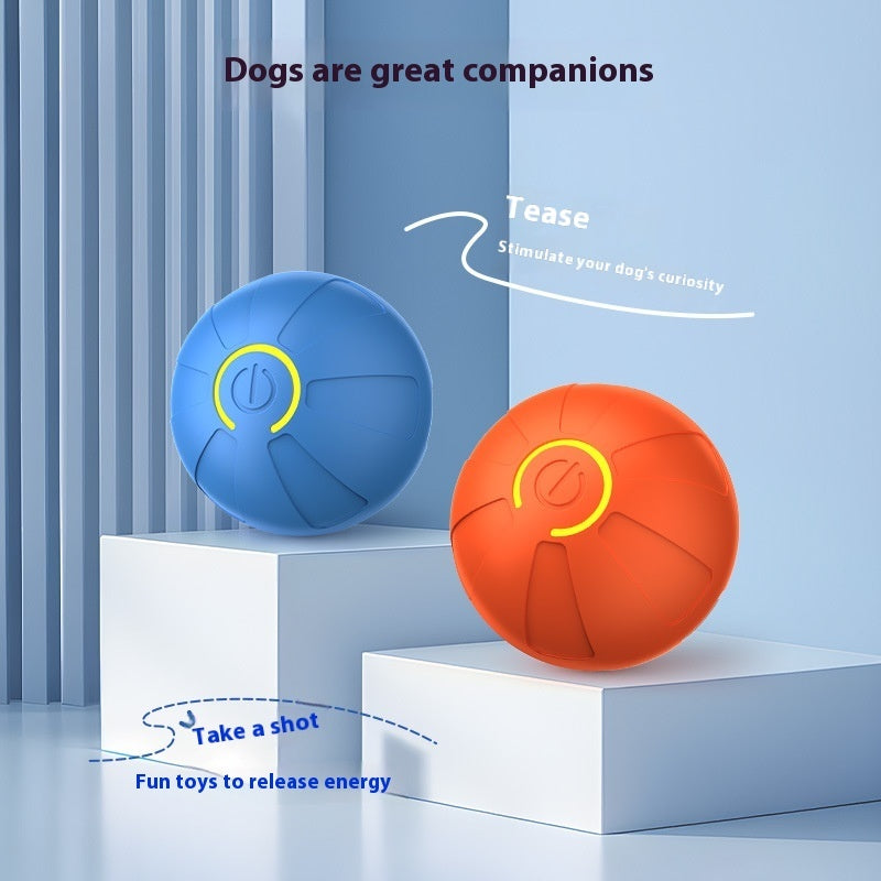 Blue and orange balls on white stands with text about dogs being great companions.
