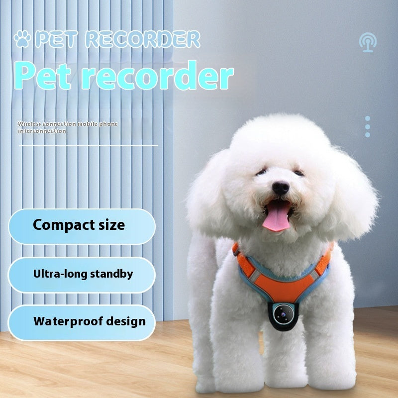 Pet Camera Collar with Motion Recording – Tracker & Action Cam for Dogs and Cats