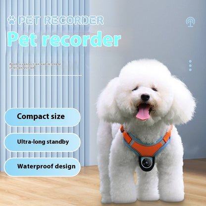 Pet Camera Collar with Motion Recording – Tracker & Action Cam for Dogs and Cats