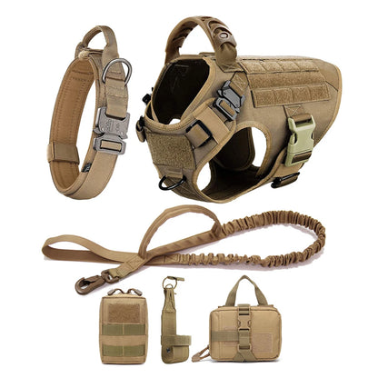 Tactical dog harness, leash, and accessories on a white background