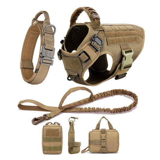 Tactical dog harness, leash, and accessories on a white background