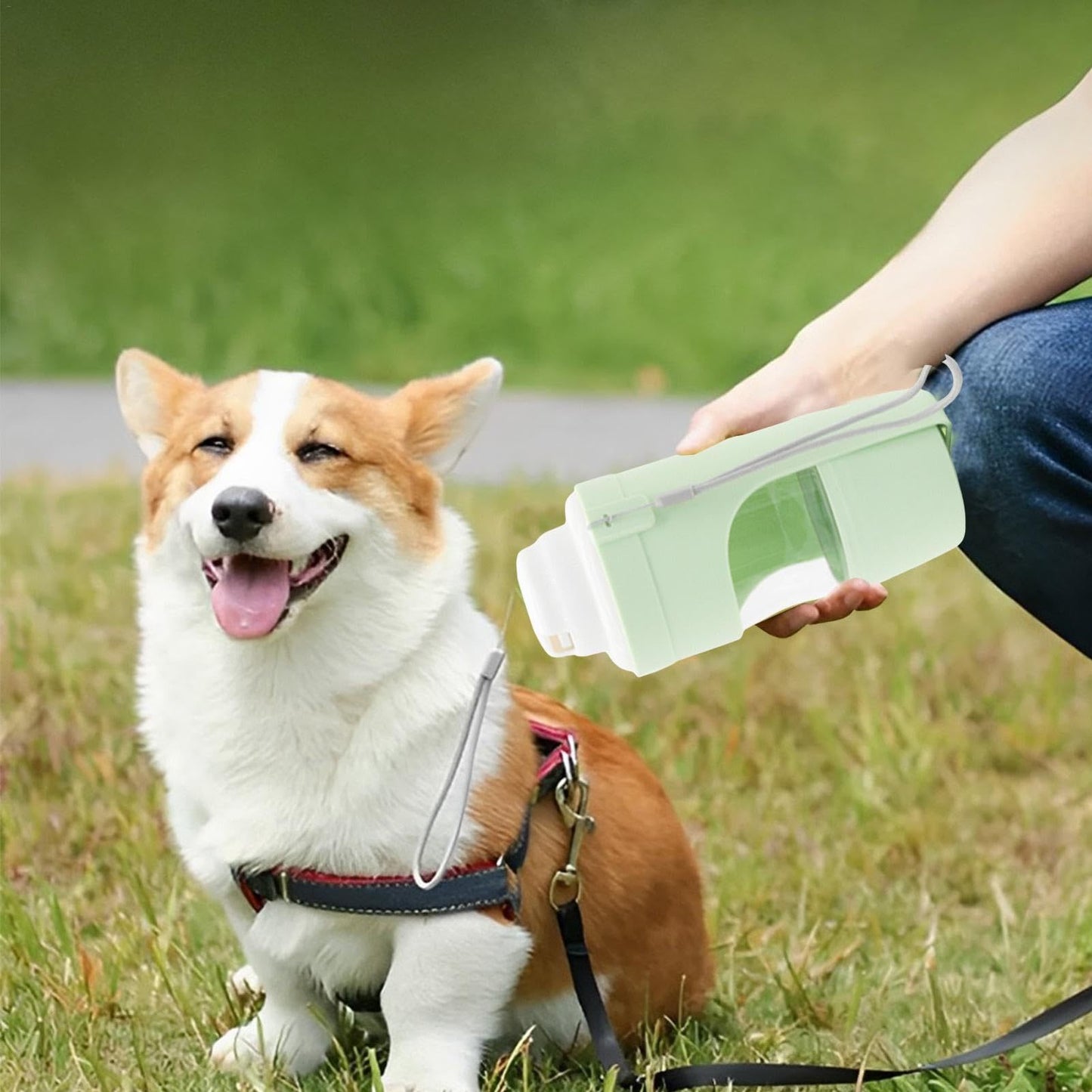 2-in-1 Travel Dog Water Bottle & Food Feeder – Portable Pet Dispenser for Outdoor Adventures