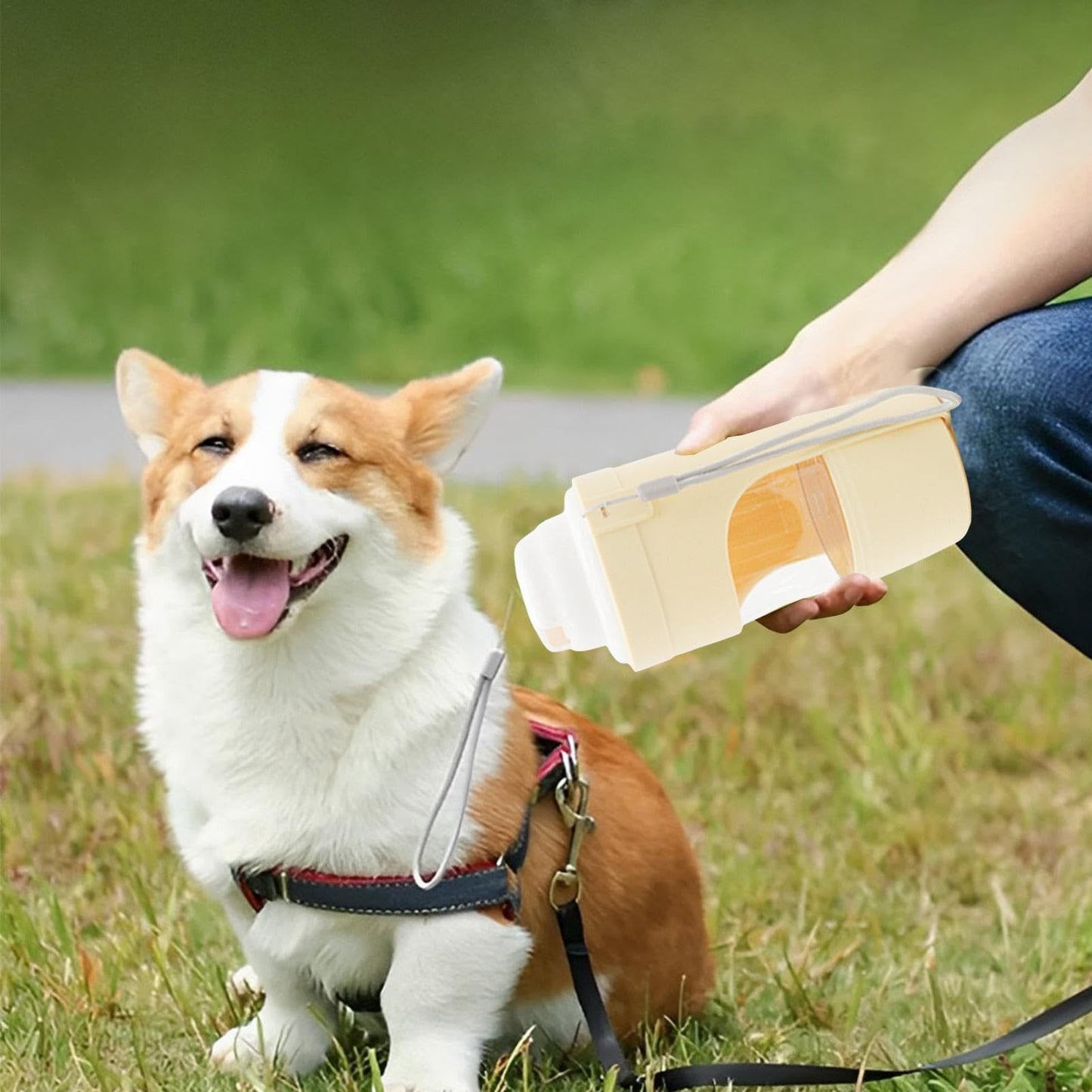 2-in-1 Travel Dog Water Bottle & Food Feeder – Portable Pet Dispenser for Outdoor Adventures