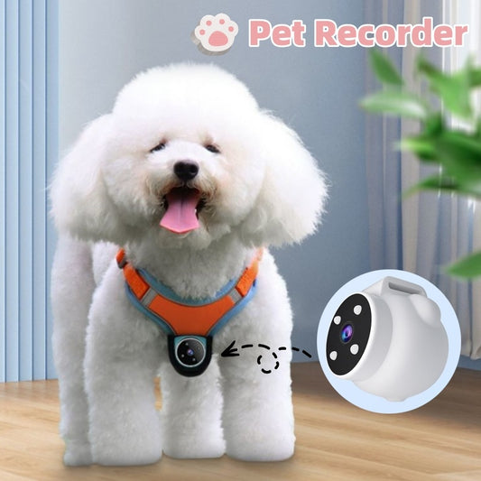 Pet Camera Collar with Motion Recording – Tracker & Action Cam for Dogs and Cats