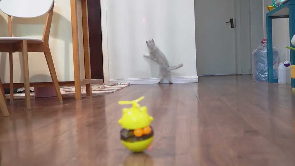 Cat Toy Laser Electric Infrared Ray Funny Turntabl