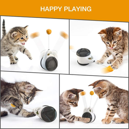 Puzzle Interactive Tumbler Swing Cat toys