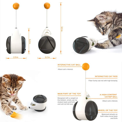 Puzzle Interactive Tumbler Swing Cat toys