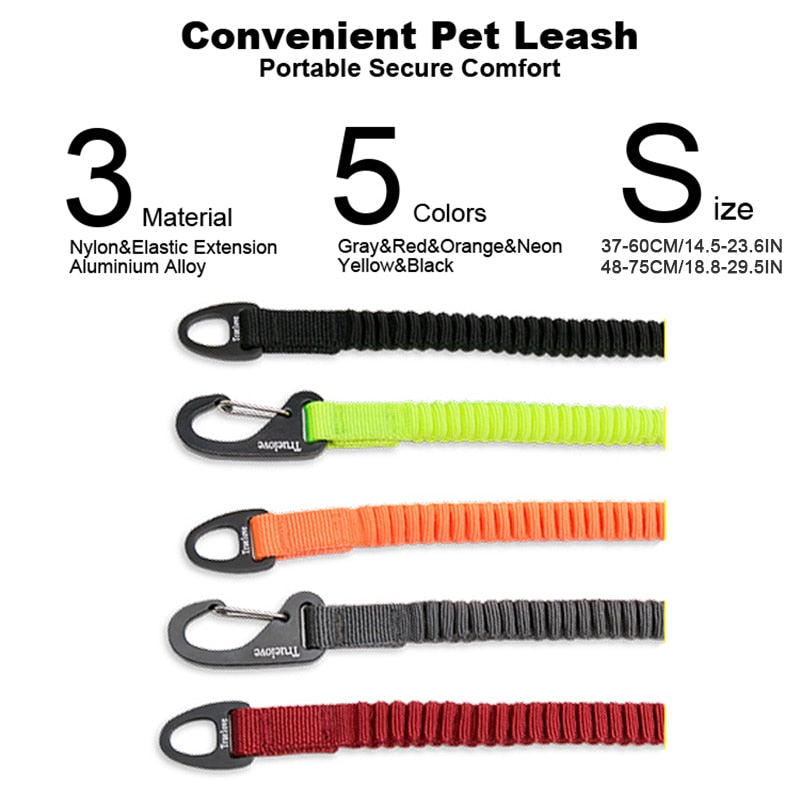 Short Bungee Dog Nylon Leash