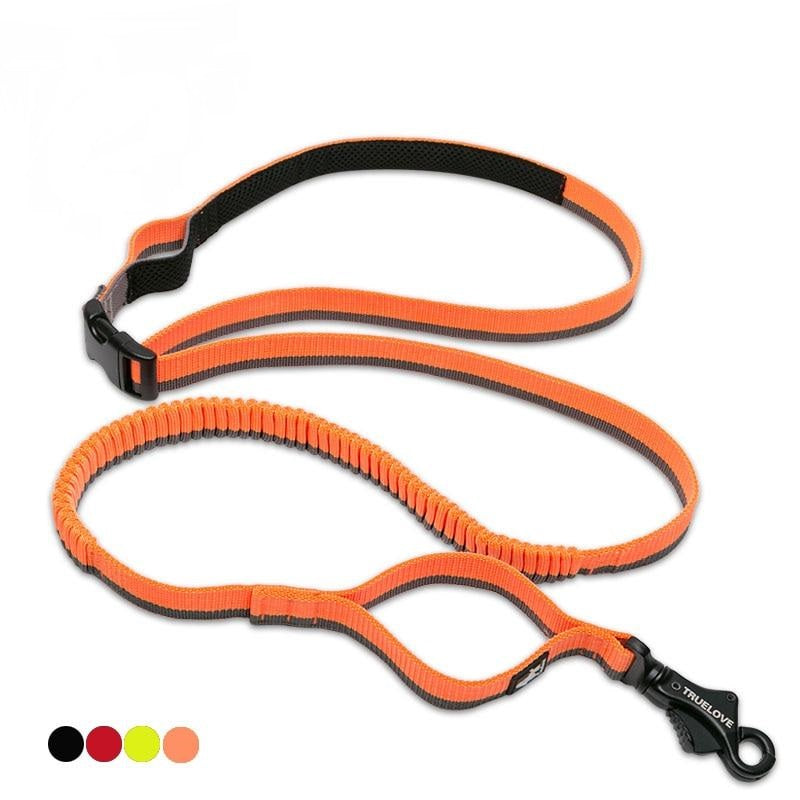 Nylon Elastic Retractable Dog Leads