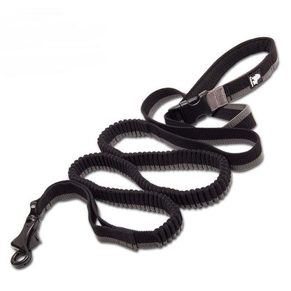 Nylon Elastic Retractable Dog Leads