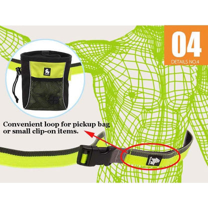 Nylon Elastic Retractable Dog Leads