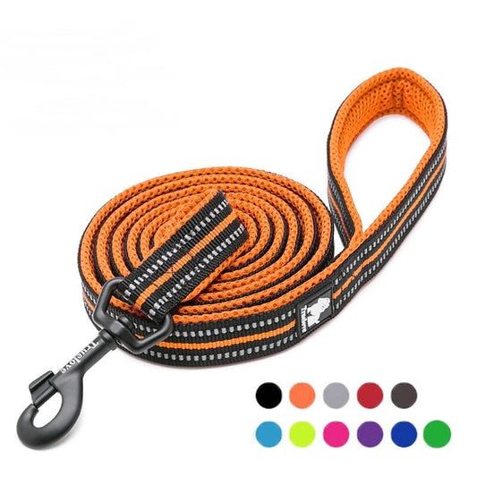 Nylon Dog Leash for Training
